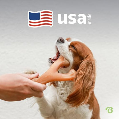 Benebone Wishbone Durable Dog Chew Toy for Aggressive Chewers, Made in USA, Large, Real Chicken Flavor - Image 5
