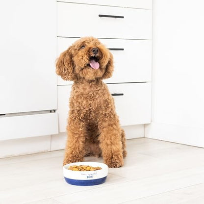 Pearhead Ceramic Bone Appétit Dog Bowl - Blue & White - Image 5