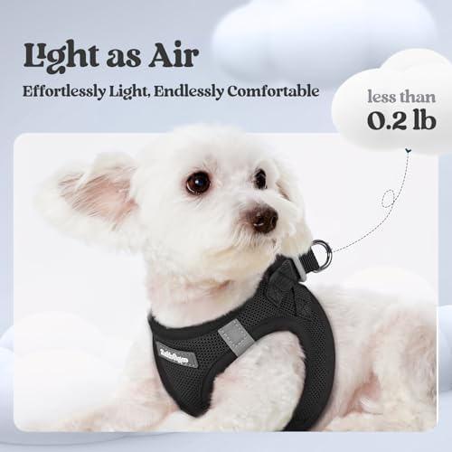 rabbitgoo Dog Harness Small Sized and Leash Set, Step-in Puppy Pet Vest - Image 3