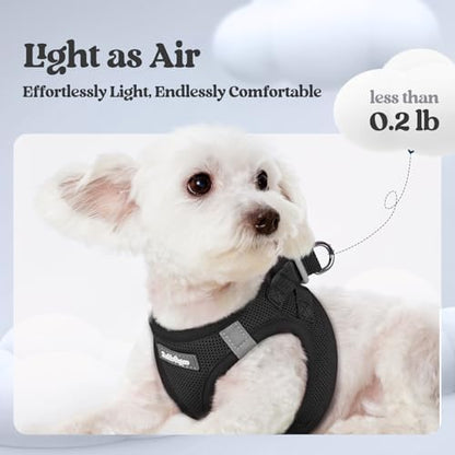 rabbitgoo Dog Harness Small Sized and Leash Set, Step-in Puppy Pet Vest - Image 3