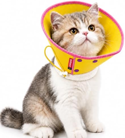 Soft Dog Cone Collar for Dogs & Cats, Adjustable Elizabethan Recovery Collar, Lightweight EPE Material, Post-Surgery Wound Protection (Yellow, S) by Mabawa