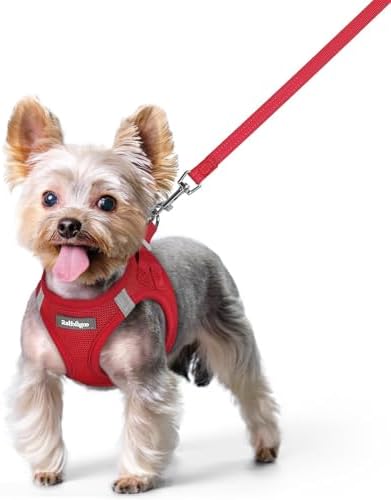 rabbitgoo Dog Harness Small Sized and Leash Set, Step-in Puppy Pet Vest by rabbitgoo