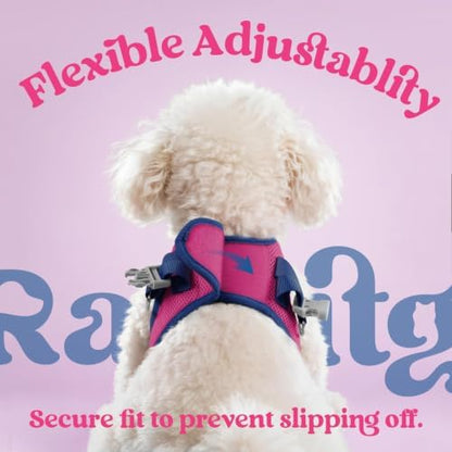 rabbitgoo Dog Harness Small Sized and Leash Set, Step in Soft Vest - Image 6