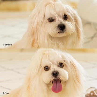 Dog Concentrated Waterless Shampoo & Conditioner with Bath Mitt, Rinse-Free - Image 6