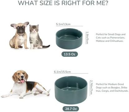 SPUNKYJUNKY 28.7OZ Ceramic Dog and Cat Bowl, Modern Cute Weighted Food Water Bowl for Replacement Light Green (1 Pack) - Image 3