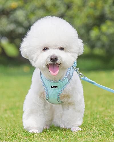 Petank Step in Dog Harness No Pull and Leash for Small Medium Dogs Cats. - Image 2