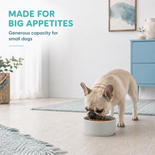 Havniva Ceramic Dog Bowls, 6.1” Dog Food and Water Bowl, Pet Feeding Bowl - Image 6