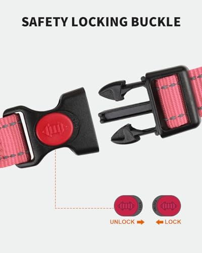 FunTags Martingale Dog Collar and Leash Set for Large Dogs, Locking Buckle - Image 3
