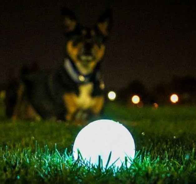 Chuckit! Max Glowin the Dark Bouncy Ball for Dogs, Large 3in, 1 Pack - Image 2