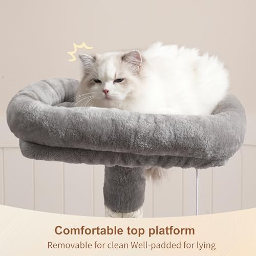 Heybly Cat Tree with Toy, 43.3 inch Cat Tower for Indoor Cats HCT004SW - Image 2