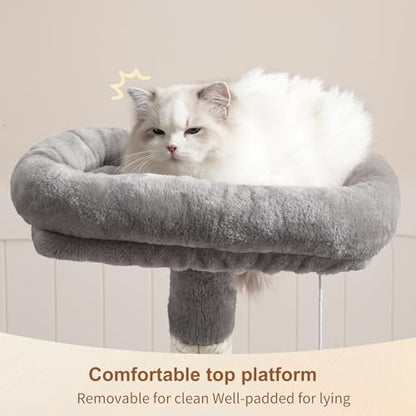 Heybly Cat Tree with Toy, 43.3 inch Cat Tower for Indoor Cats HCT004SW - Image 2
