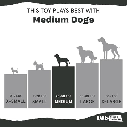 BarkBox BARK Sun Power Tug Rope Toy - for Dogs - Medium - Image 6