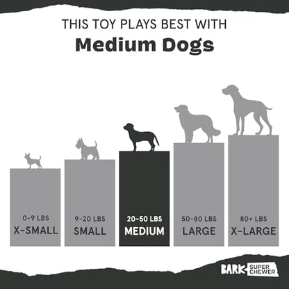 BarkBox BARK Sun Power Tug Rope Toy - for Dogs - Medium - Image 6