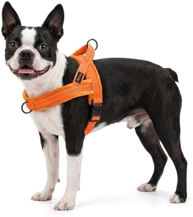 Didog No Pull Dog Harness for Small Dogs, Soft Flannel Padded, Orange, XS - Image 6