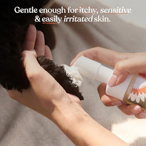 Dandylion, Clean Paws Refill, No Rinse Dog Paw Cleaner, Foaming Paw Washer - Image 3