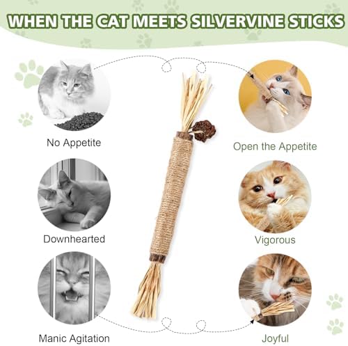 WOUSEDO 6 Pack Silvervine Sticks for Cat, Natural Catnip Toys - Image 6