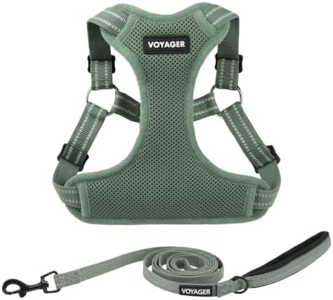 Best Pet Supplies Voyager Adjustable Step-in Flex Breathable Mesh Dog Harness for Small Medium Large Dogs Leash Set (Moss Green), XS by BestPetSuppliesLLC