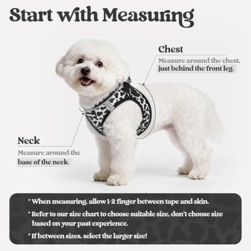 rabbitgoo Dog Harness Medium Sized and Leash Set, Step-in Puppy Pet Vest - Image 2