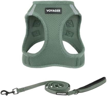 Best Pet Supplies Voyager Step-in Air All Weather Mesh Harness and Reflective Dog 5ft Leash Combo with Neoprene Handle, for Small, Medium and Large Breed Puppies - Moss Green, XXS by BestPetSuppliesLLC