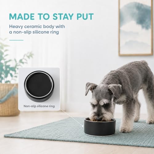 Havniva Ceramic Dog Bowls, 6.1” Dog Food and Water Bowl, Pet Feeding Bowl - Image 4