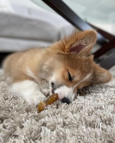 Nylabone Puppy Chew Teething Bone Dog Chew Toys, Chicken Flavor, 2 Count - Image 2