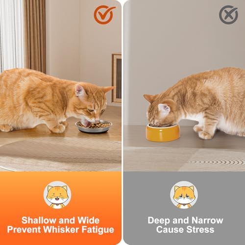 4 Pcs Stainless Steel Cat Bowls for Cats, Kittens & Small Dogs - Image 3