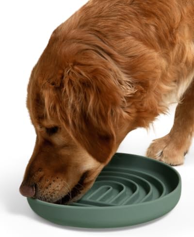 Slow Feeder Dog Bowl - Silicone Dog Bowl, Large, 9.5" x 1.5" - Spruce by ShouldWeGo