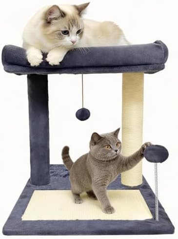 Cat Scratching Post, 19.69" H(50cm) Cat Tree with Cat Bed, Scratching Posts for Indoor Cats with Two Plush Balls Toy, Small Cat Tree for Kittens/Cats Playing and Relaxing (20 in Grey Cat Tree) by Unknown