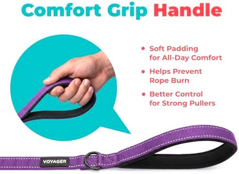 Best Pet Supplies Voyager Nylon Dog Leash - Purple, Large - Image 5