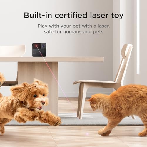 Petcube Play 2 - Wi-Fi Pet Camera with Laser Toy for Cats & Dogs - Image 2