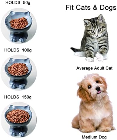 Nihow Elevated Cat Bowls,6 Inch Ceramic Raised Cat Food and Water Bowl Set - Image 3