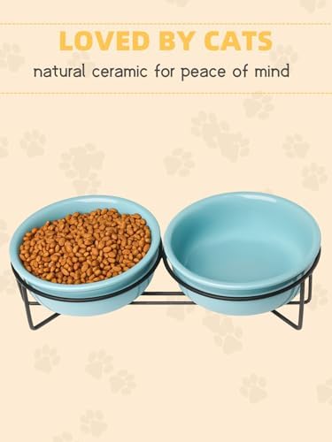 GDCZ Elevated Cat Bowl Stand, 11.6 in Metal Stand with 2 Removable 15 OZ Ceramic Bowls for Pet Food and Water, Stand Reduces Cat Neck Burden, Turquoise - Image 4