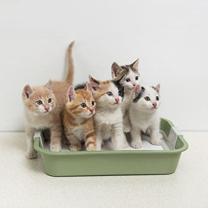 Cat Litter Deodorizer (1 Pack) - Image 3