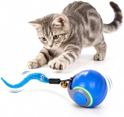Interactive Cat Toy Ball for Indoor Cats – Smart Motion Activated Automatic Rolling Ball, USB-C Rechargeable, 2 Speeds, Obstacle Avoidance, Kitty Whiskers Playhouse (Blue) by Unknown