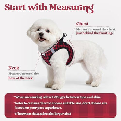 rabbitgoo Dog Harness Medium Sized and Leash Set, Step-in Puppy Pet Vest - Image 2