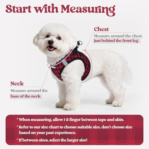 rabbitgoo Dog Harness Medium Sized and Leash Set, Step-in Puppy Pet Vest - Image 2