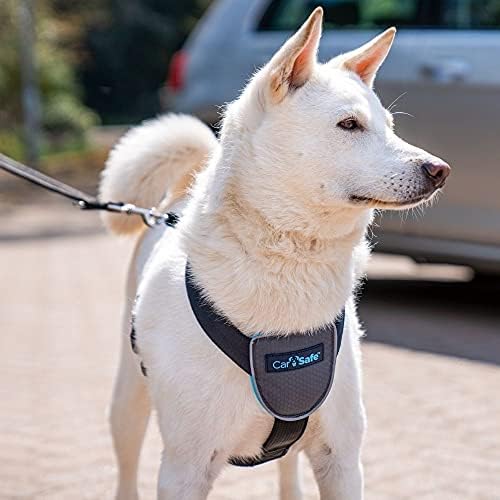 CarSafe Dog Travel Car Harness | Size M - Image 3