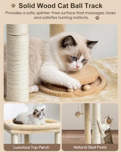 Small Cat Tree with Large Top Perch & Cat Ball Track Toy, Indoor Cat Tower - Image 2