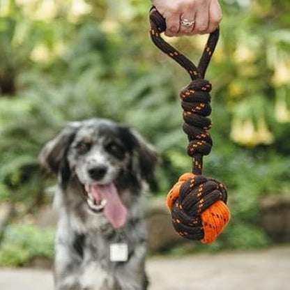 P.L.A.Y. Cute Outdoor Dog Toys - Scout & About Tug Ball Rope Toy, Great for Puppies & Small, Medium, Large Dogs - Machine Washable, Ultra-Durable, Good for Agility Training, Tugging, Fetch (Small)