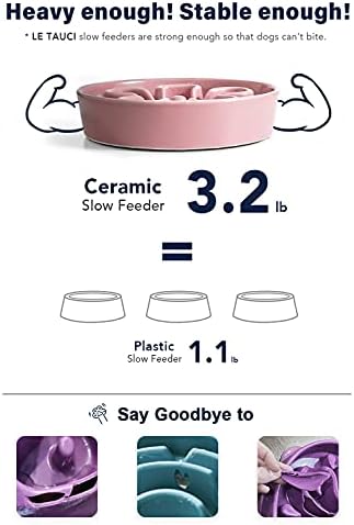 LE TAUCI Slow Feeder Dog Bowls Ceramic, 1.5 Cups Dog Food Bowl, Puppy Slow Feeder Dish for Fast Eaters,Pink Bloom - Image 4