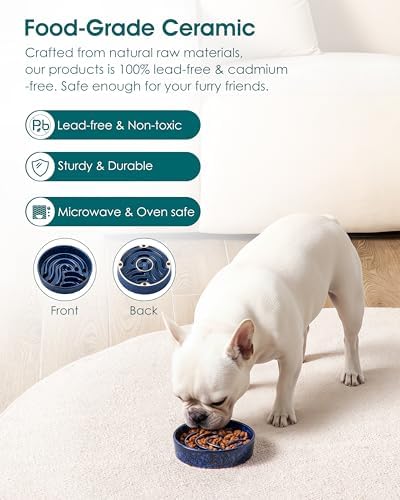 vancasso Slow Feeder Dog Bowl, 0.6 Cup Ceramic Slow Feeding Food Dish for Small Breed, Puzzle Dog Food Bowl for Fast Eater, Blue - Image 4