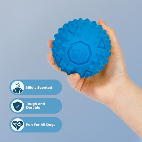 Best Pet Supplies Squeaky Dog Toys with Soft Durable Fabric for Small, Medium and Large Pets Interactive Toy for Indoor Play, Supports Active Biting and Play - Blue, Large - Image 2