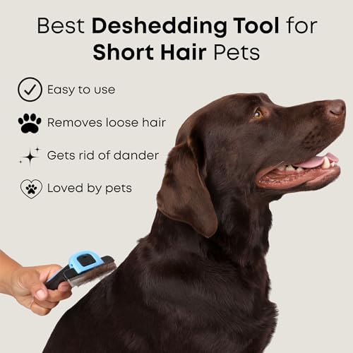 Short Hair Deshedding Brush for Dogs & Cats - Grooming Comb - Image 3