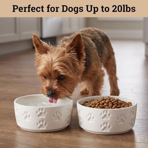 Ceramic Dog Bowl Set of 2 with Anti-Skid Base, 5.5"W x 2"H, 2 Cup Capacity - Image 3