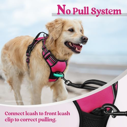 rabbitgoo Dog Harness, No Pull Medium Sized with 2 Leash Clips, Pet Vest - Image 5