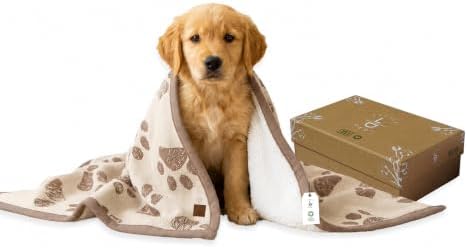 Organic Cotton Pet Blanket 30x38 in, Sherpa, Earth Ivory/Mocha by LittleDedi