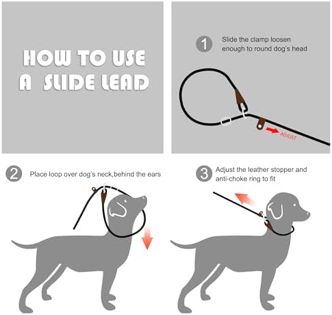Fida Durable Slip Lead Dog Leash, 6 FT x 3/8" Dog Training Leash, Green - Image 6