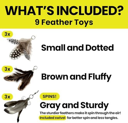Cat Feather Toy Refill 9-Pack, Natural Feather Cat Toys for Kittens & Bored Indoor Cats, Small Cat Wand Attachments, Feather Replacement for Forever Stick Cat Wand, Cat Wand Refill - Image 5