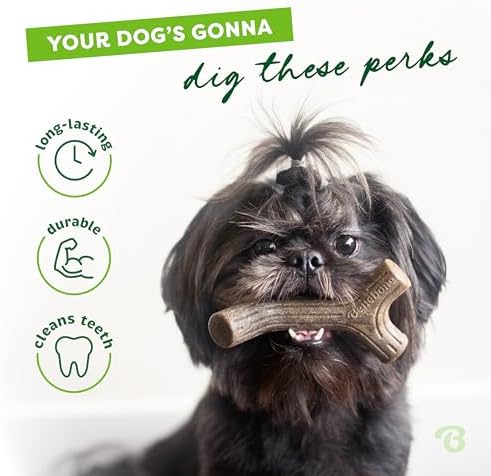 Benebone Maplestick Real Wood Durable Dog Chew Toy, Medium - Image 3