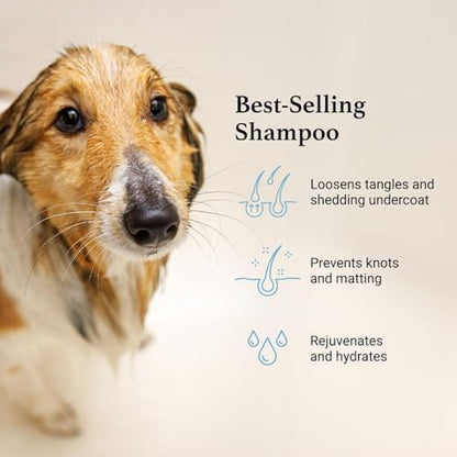 iGroom Deshedding & Detangling Dog Shampoo, Luxury Pet Beauty Care, Loosen Tangles + Unwanted Undercoat, Adds Shine + Volume, Made in USA (16 OZ) - Image 3